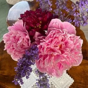 Meet your Posher, Kari